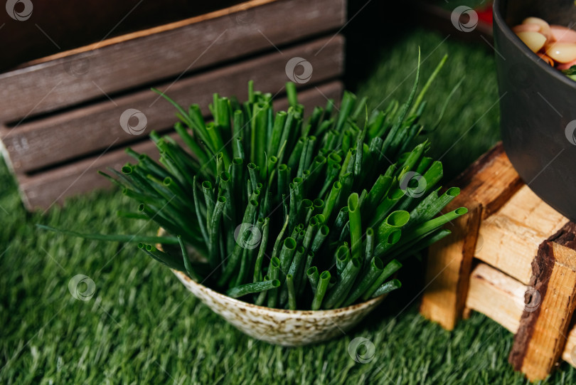 Скачать Свежий зеленый лук в корзинке на рынке фотосток Ozero