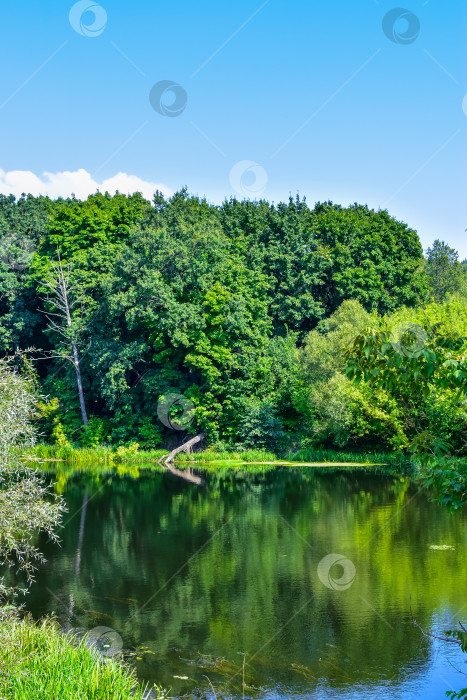 Скачать Разлив. фотосток Ozero