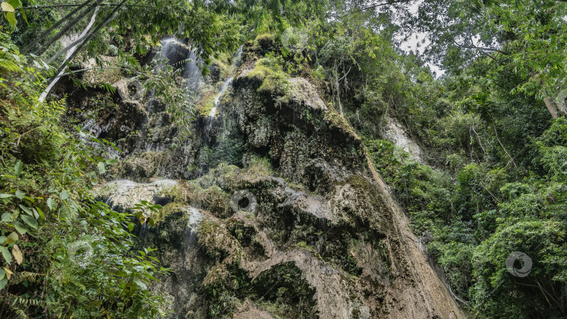 Скачать Водопад в тропическом лесу. фотосток Ozero
