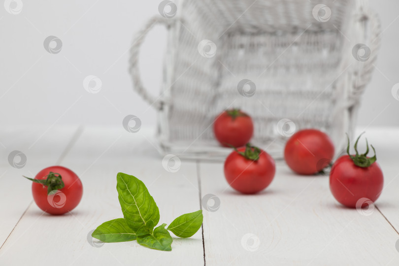 Скачать помидоры в белой корзинке фотосток Ozero