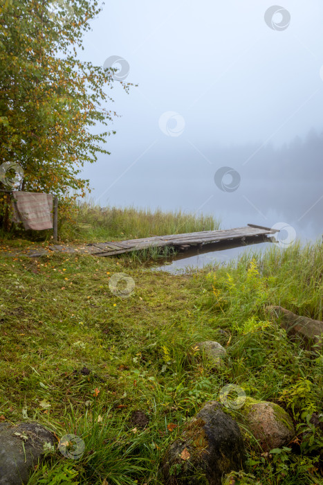 Скачать Осенний пейзаж ранним туманным утром на красивом озере с водяными лилиями. фотосток Ozero