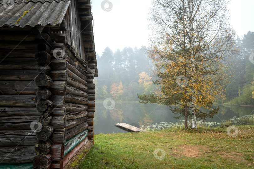 Скачать Старые заброшенные деревянные дома в осеннем лесу. фотосток Ozero