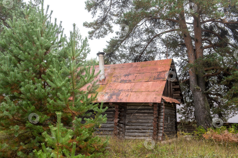 Скачать Старые заброшенные деревянные дома в осеннем лесу. фотосток Ozero