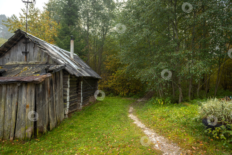 Скачать Старые заброшенные деревянные дома в осеннем лесу. фотосток Ozero