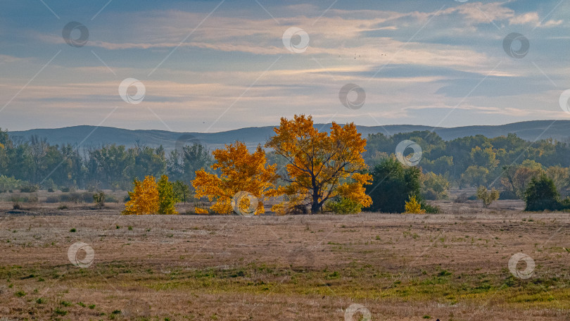 Скачать Осенний пасмурный пейзаж фотосток Ozero