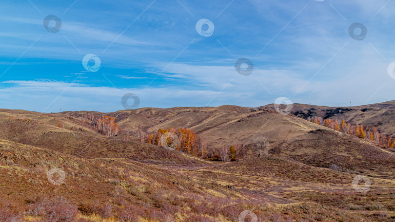 Скачать Горный пейзаж под голубым небом фотосток Ozero