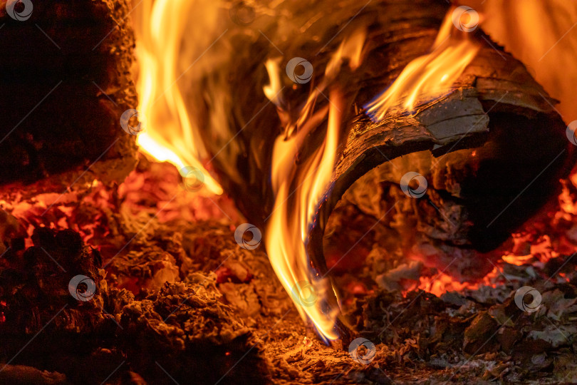 Скачать Огонь и дрова в печи фотосток Ozero