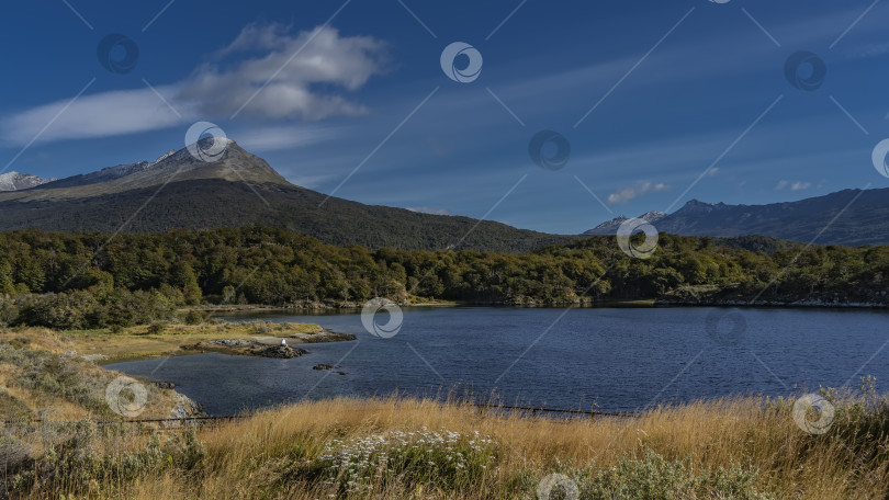 Скачать Прекрасный пейзаж Патагонии фотосток Ozero