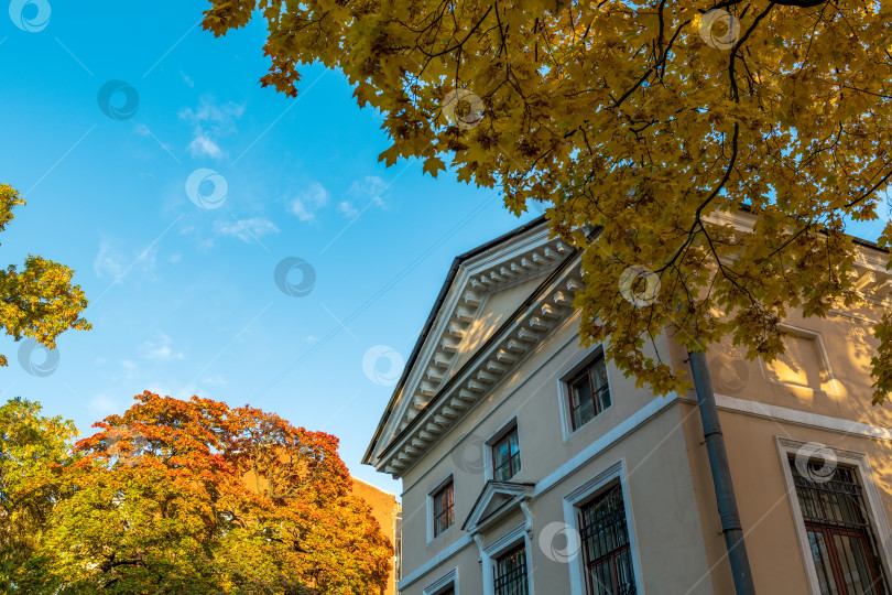 Скачать Юсуповский дворец в Санкт-Петербурге на фоне голубого неба и кроны дерева с золотыми листьями фотосток Ozero