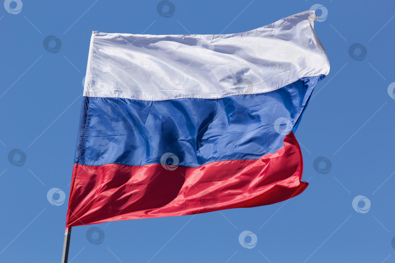 Скачать Российский трехцветный флаг фотосток Ozero