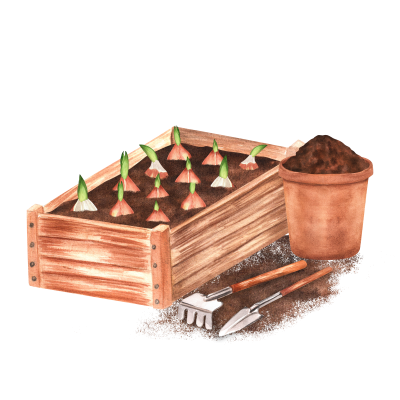 [object Object] undefined