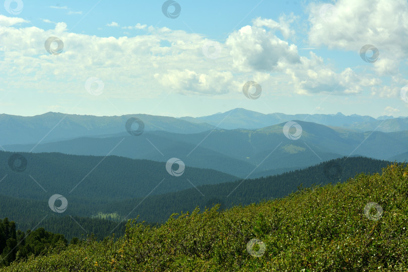 Скачать Вид с вершины горы на живописные скалистые хребты, покрытые густым хвойным лесом, в пасмурный летний день. фотосток Ozero