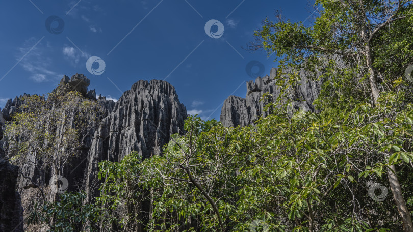 Скачать Удивительные серые карстовые известняковые скалы на фоне голубого неба. фотосток Ozero