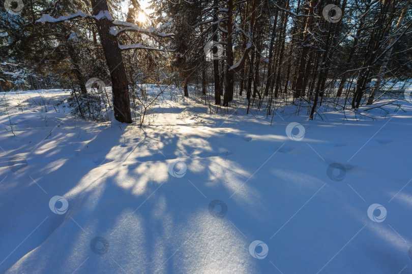 Скачать Свет и тени на снегу фотосток Ozero