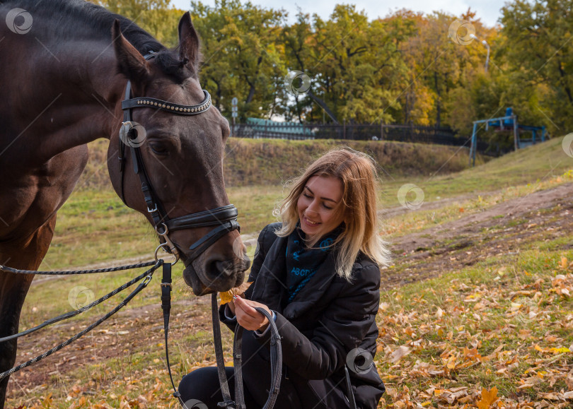 Скачать Молодая светловолосая улыбающаяся девушка кормит лошадь желтыми листьями фотосток Ozero