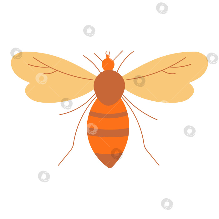 Скачать Значок осы, летящее полосатое насекомое с крыльями, лапками фотосток Ozero