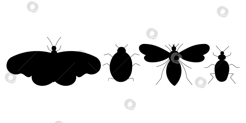 Скачать Набор черных насекомых - Жук, бабочка, пчела, Божья коровка фотосток Ozero