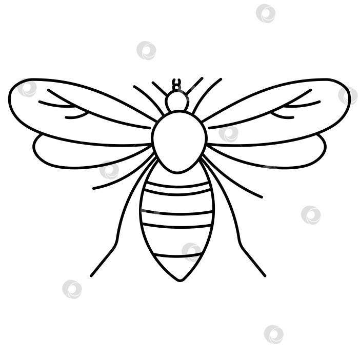 Скачать Значок осы, летящее полосатое насекомое с крыльями, лапками фотосток Ozero