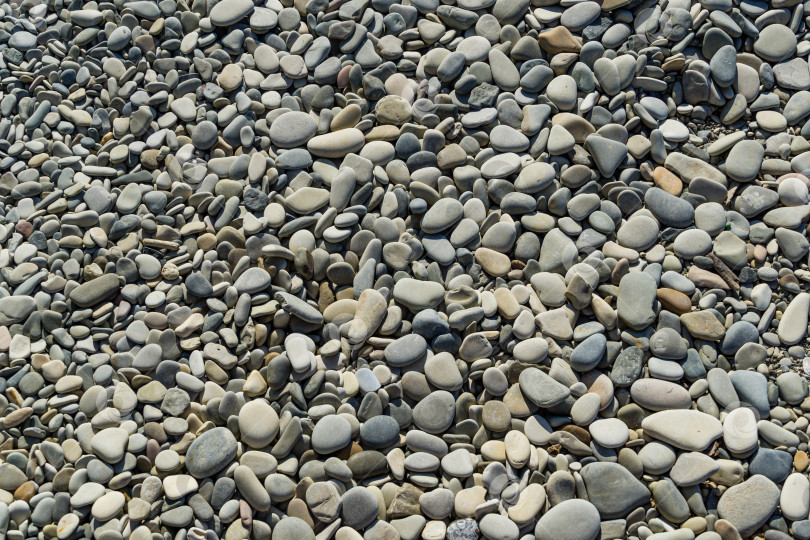 Скачать Серая морская галька на фоне природы. Красивые морские камни разных размеров и текстуры. Отличная природная концепция для любого дизайна. Выборочный акцент. фотосток Ozero