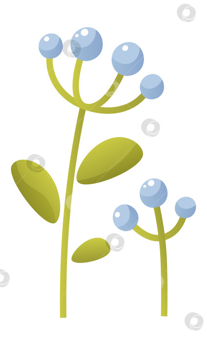 Скачать Один цветок колокольчика, голубые незабудки на белом фоне. Крупный бутон и соцветие на стебле с зелеными листьями. Международный день подснежника. Векторная ботаническая иллюстрация. Цветочный клип-арт фотосток Ozero