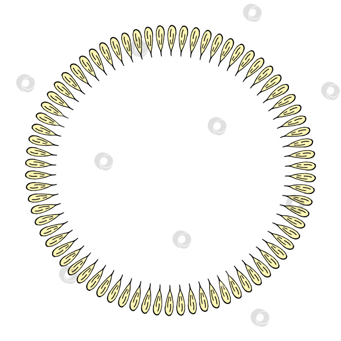 Скачать Круглая рамка в стильных светло-желтых цветочных лепестках на белом фоне. Векторное изображение. фотосток Ozero