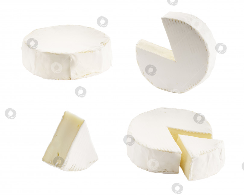 Скачать Различные сорта сыра бри, выделенные на белом фотосток Ozero