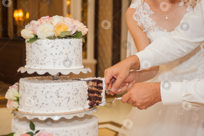 Скачать жених и невеста режут свадебный торт. фотосток Ozero
