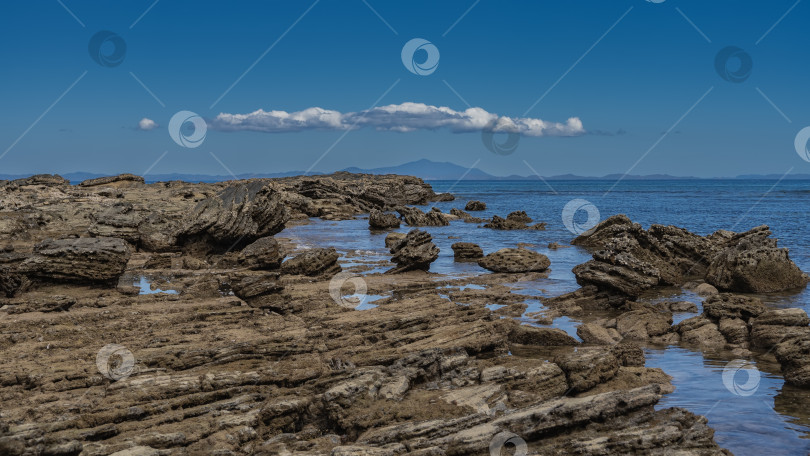 Скачать Скалы морского дна обнажались во время отлива. фотосток Ozero