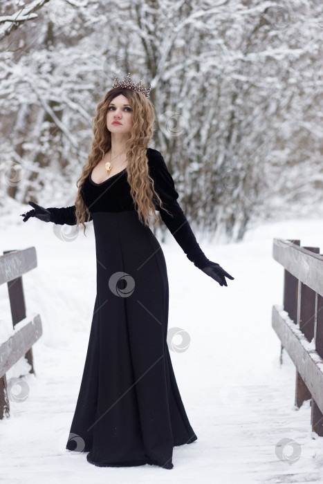 Скачать Концепция моды. Красивая молодая леди с длинными светлыми волосами и в длинном черном платье, с короной на голове, стоит в зимнем парке. Прекрасная смуглая принцесса использует заклинание черной магии. фотосток Ozero