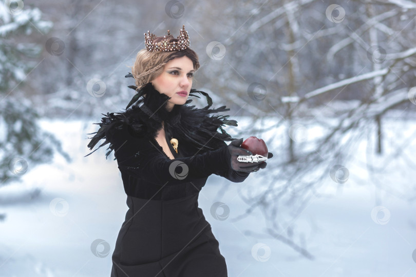 Скачать Красивая молодая леди в длинном черном платье, с короной на голове и яблоком в руках стоит в зимнем парке. Прекрасная темная принцесса использует заклинание черной магии. фотосток Ozero