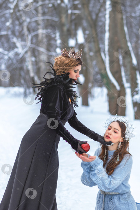 Скачать Темная королева дает Белоснежке отравленное яблоко, ведьма и принцесса Белоснежка фотосток Ozero