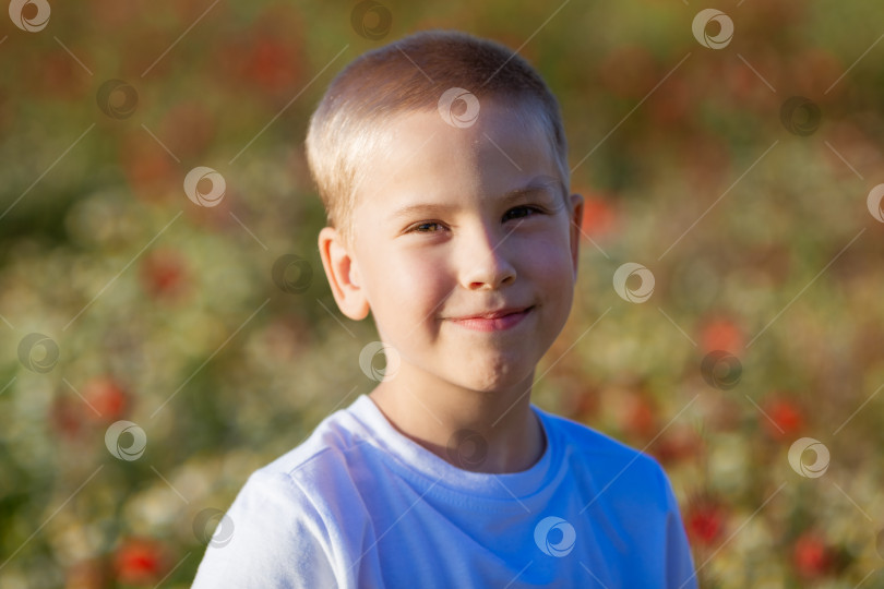 Скачать Молодой парень с короткими волосами улыбается в камеру фотосток Ozero