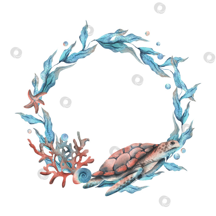 Скачать Клипарт подводного мира с морскими животными черепахой, ракушками, пузырьками, кораллами и водорослями. Рисованная акварельная иллюстрация. Рамка, шаблон, венок, выделенные на фоне фотосток Ozero
