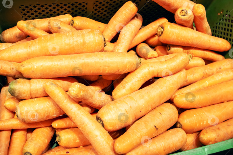 Скачать Кучка ярко-желтой моркови крупным планом фотосток Ozero