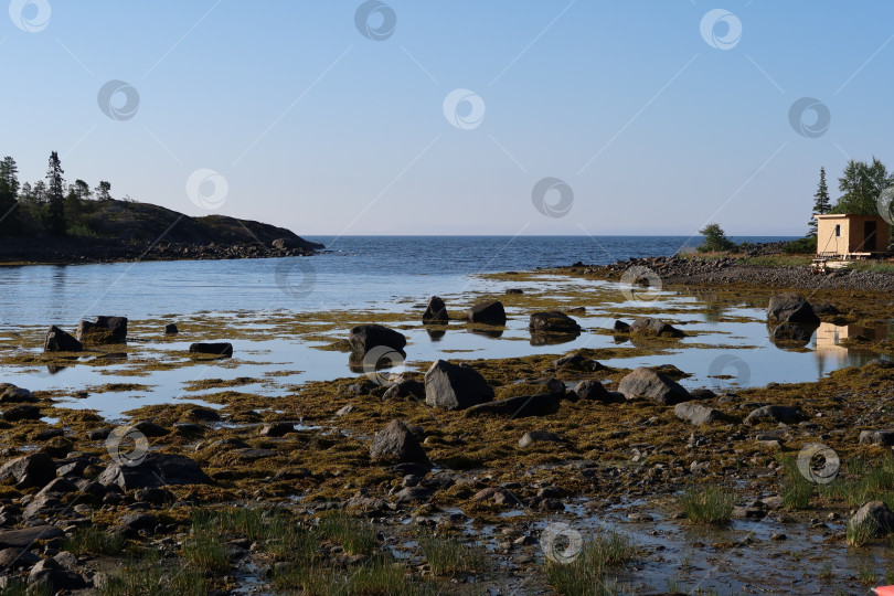 Скачать Белое море - вид с острова фотосток Ozero