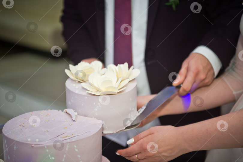 Скачать Молодожены разрезали свадебный торт для чаепития с гостями 2242. фотосток Ozero