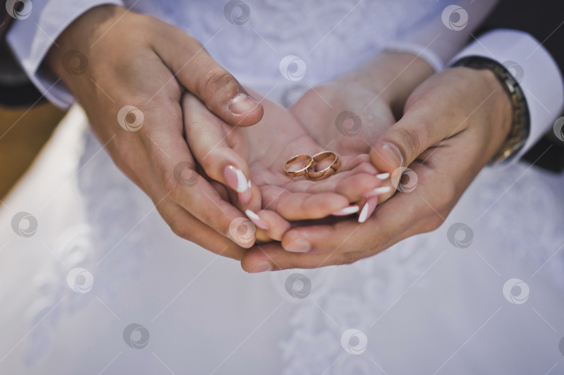 Скачать Муж нежно обнимает руки невесты с обручальными кольцами фотосток Ozero
