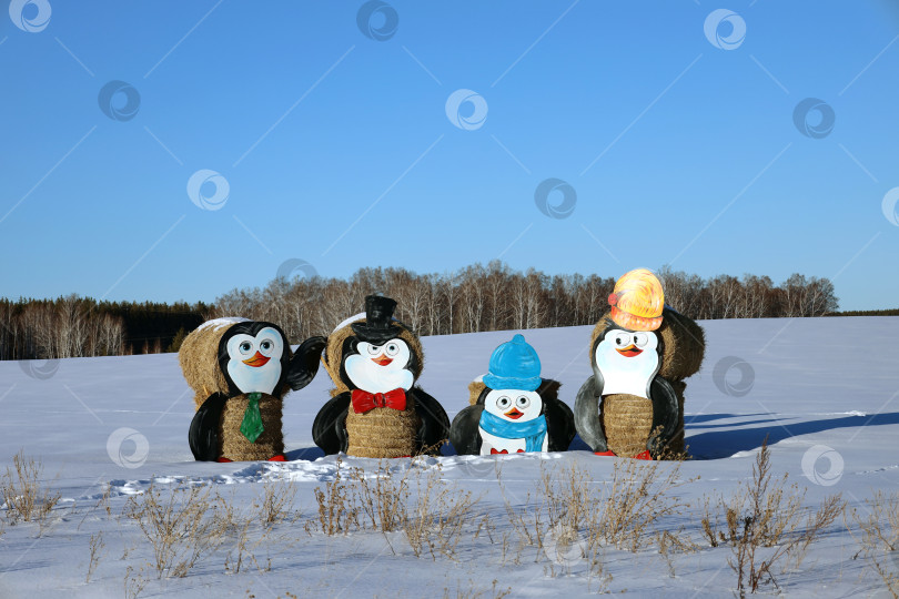 Скачать Южноуральск, Российская Федерация - февраль 19, 2022: Соломенные фигурки - забавные пингвины на заснеженном поле фотосток Ozero