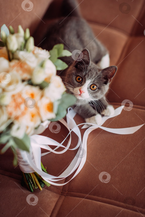 Скачать Любопытный котенок играет со свадебным букетом 3968. фотосток Ozero