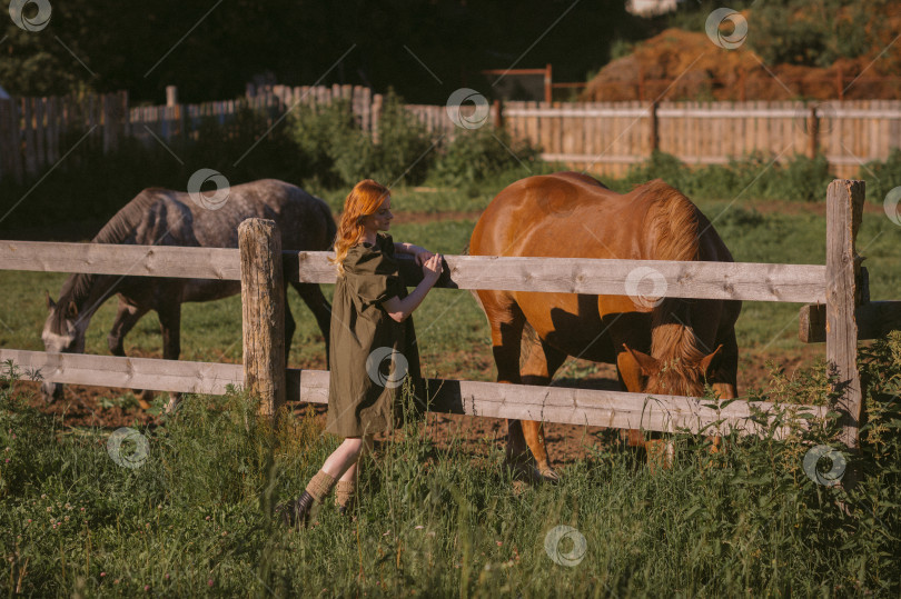 Скачать Девушка и загон с лошадьми 3229. фотосток Ozero