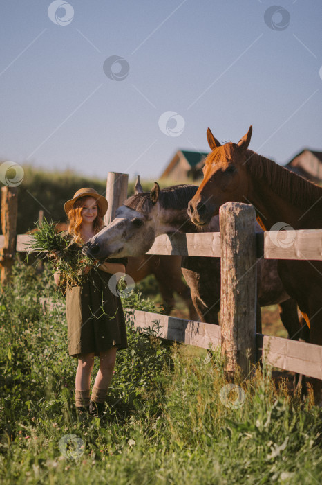 Скачать Девушка в зеленом платье гладит и кормит лошадей 3242. фотосток Ozero
