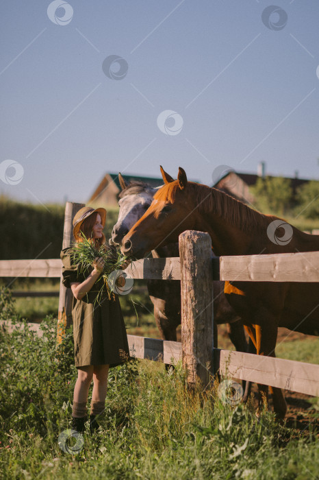 Скачать Девушка в зеленом платье гладит и кормит лошадей 3243. фотосток Ozero