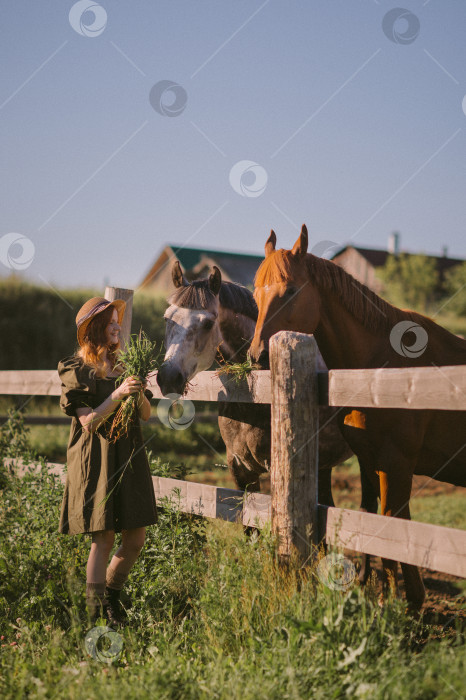 Скачать Девушка в зеленом платье гладит и кормит лошадей 3244. фотосток Ozero