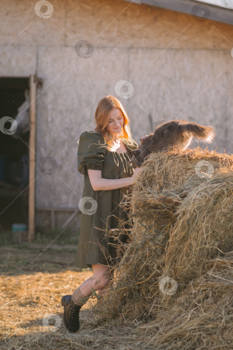 Скачать Девушка гладит деревенских кошек возле конюшни 3264. фотосток Ozero