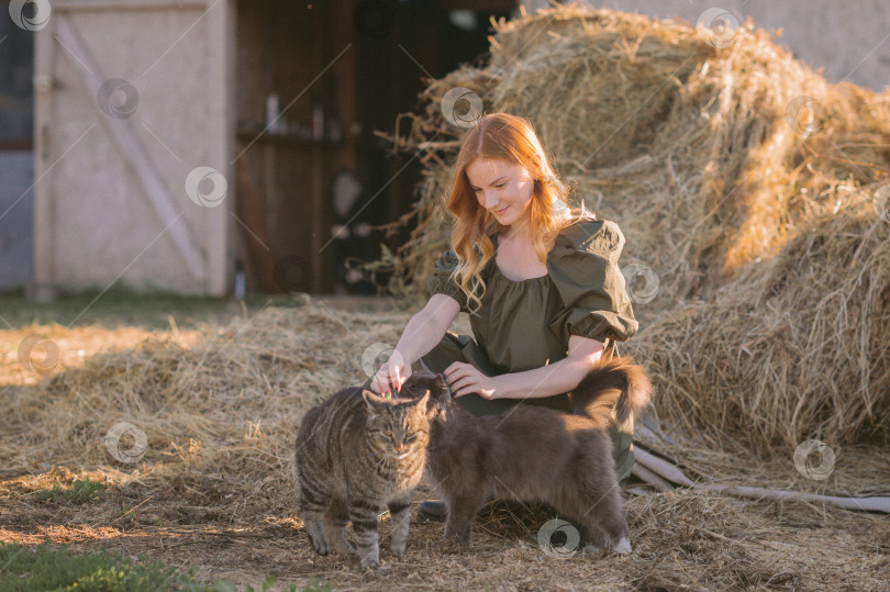 Скачать Девушка гладит деревенских кошек возле конюшни 3270. фотосток Ozero