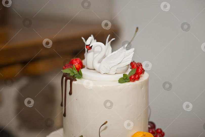 Скачать Огромный торт, украшенный фруктами и ягодами на свадьбу 2772. фотосток Ozero