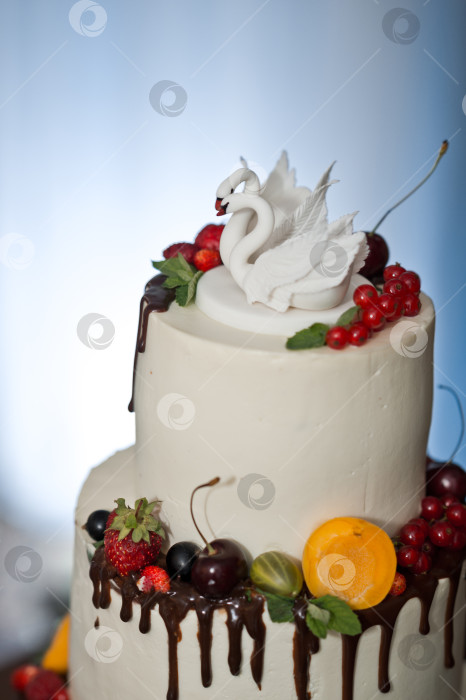 Скачать Огромный торт, украшенный фруктами и ягодами на свадьбу 2774. фотосток Ozero