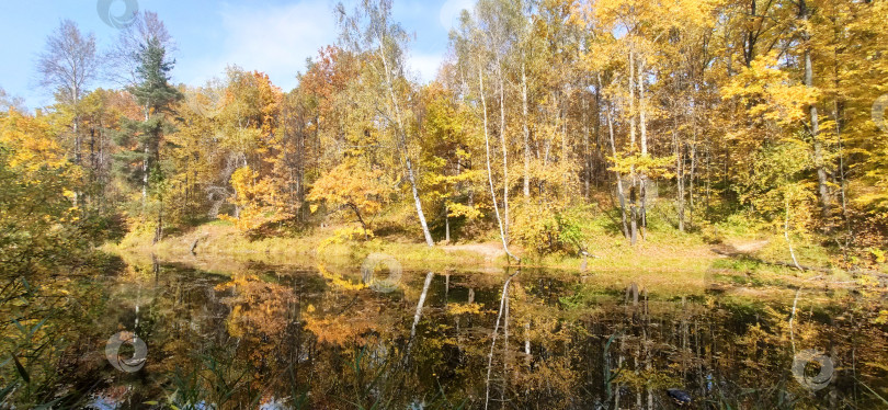 Скачать Озеро, окаймленное осенним лесом 3059. фотосток Ozero