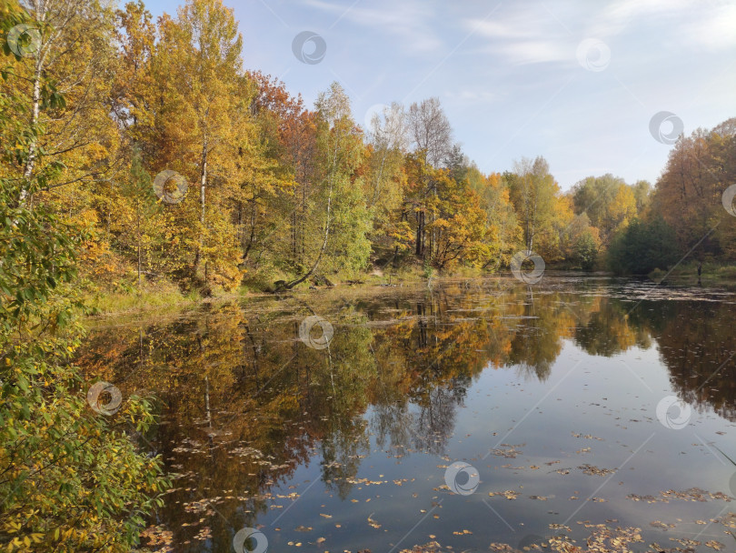 Скачать Озеро, окаймленное осенним лесом 3055. фотосток Ozero