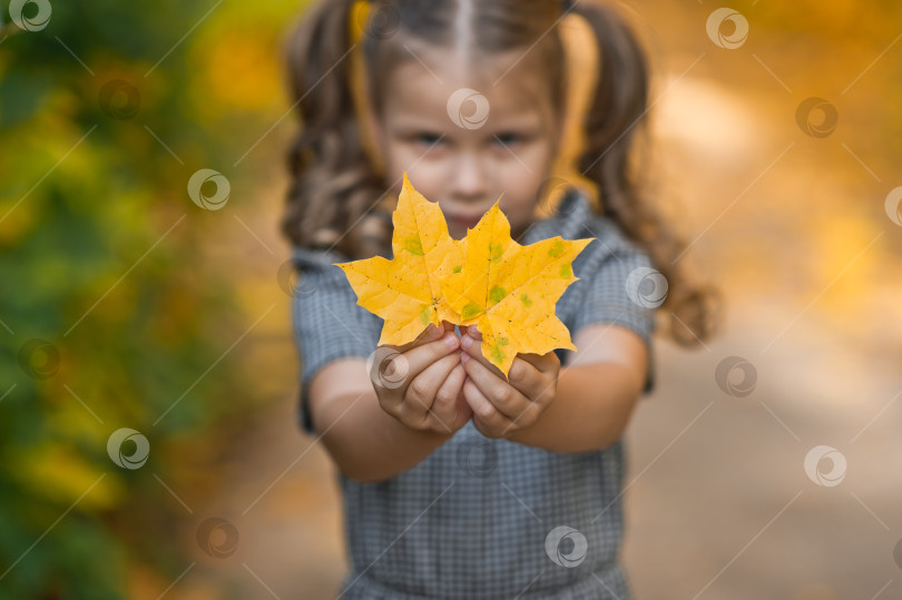 Скачать Маленькая дочка играет с осенними листьями в парке 3383. фотосток Ozero